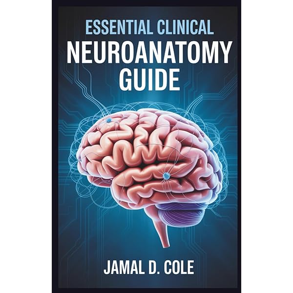 Correlative Neuroanatomy: 9780838514771: Medicine & Health Science